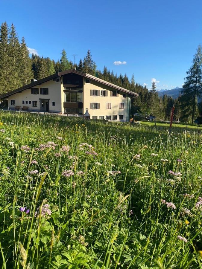 Appartementhaus Hochkoenig - Panoramablick Mühlbach Exterior photo