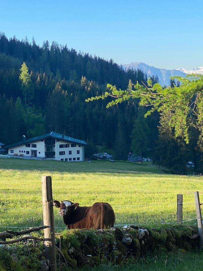 Appartementhaus Hochkoenig - Panoramablick Mühlbach Exterior photo