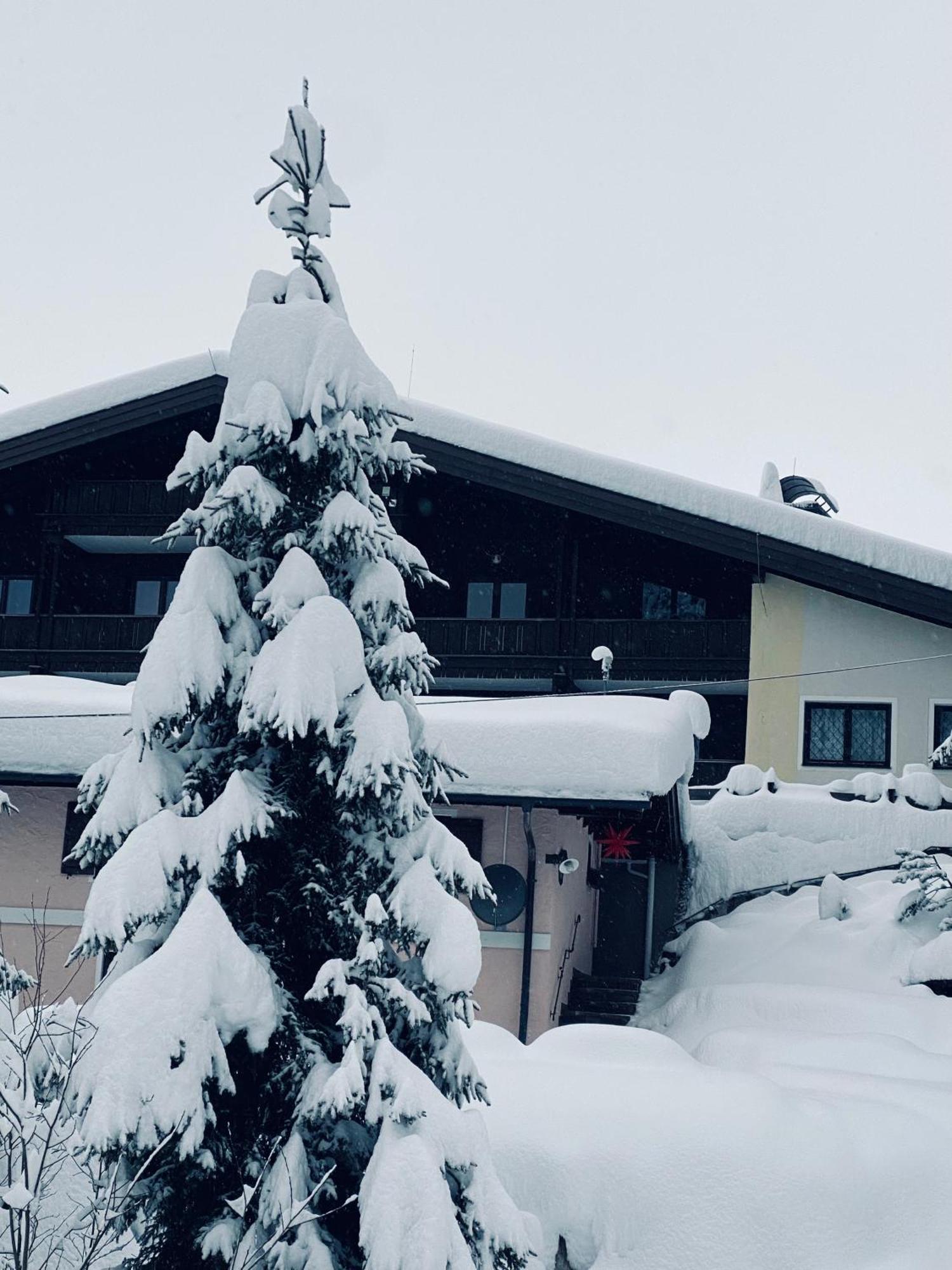 Appartementhaus Hochkoenig - Panoramablick Mühlbach Exterior photo